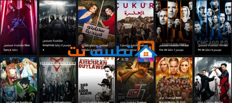 شبكتي سينمانا